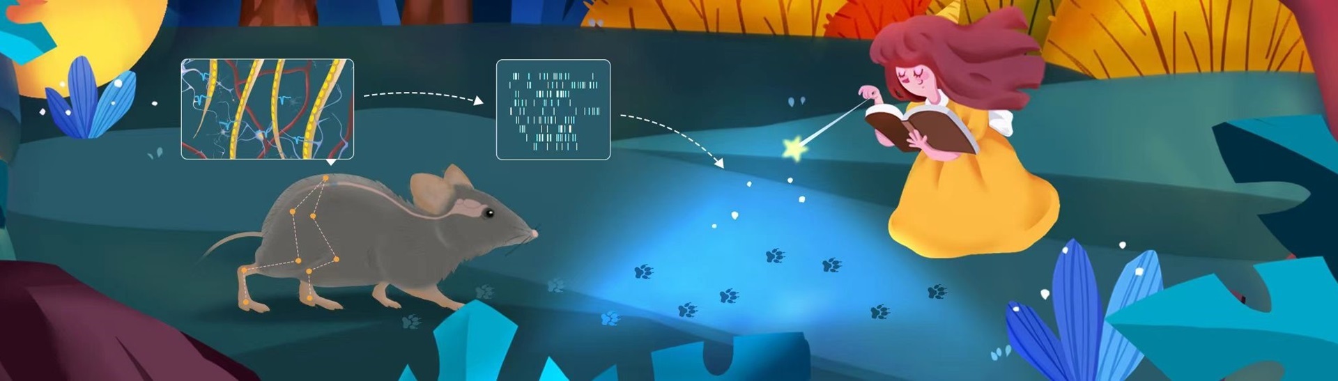 腦智卓越中心開(kāi)發(fā)超柔性脊髓界面成功實(shí)現(xiàn)長(zhǎng)期穩(wěn)定的信號(hào)記錄和解碼